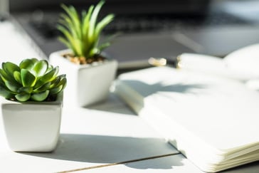 Wonder Project Thumbnail