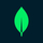 MongoDB Logo