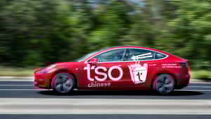 Tso Chinese Takeout & Delivery